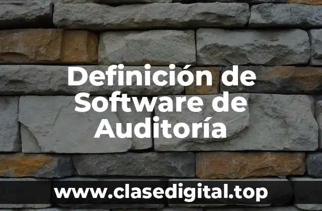 Definición de Software de Auditoría