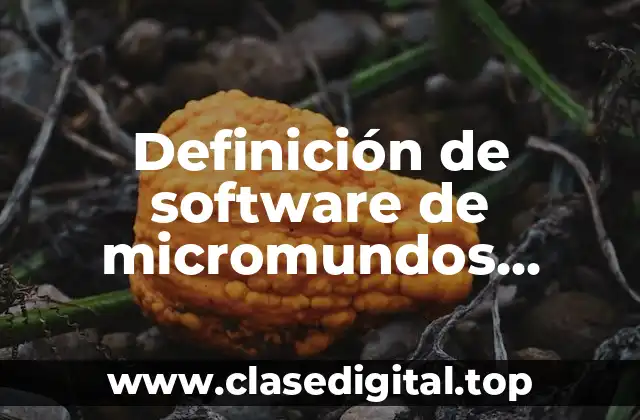 Definición de software de micromundos exploratorios y lenguaje sintónico