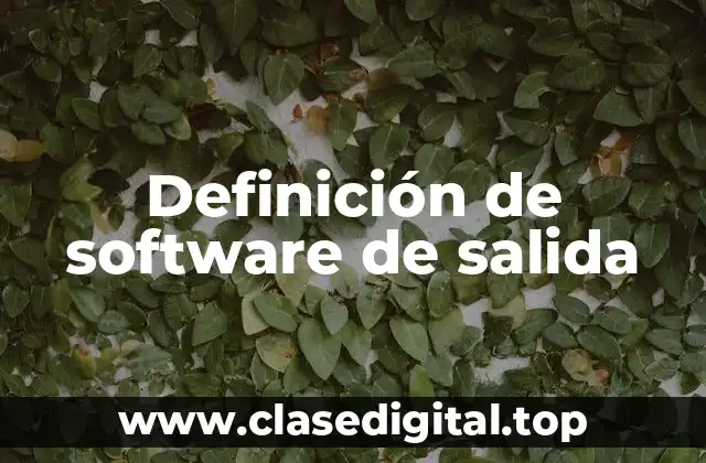 Definición de software de salida