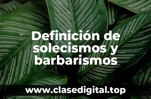 Definición de solecismos y barbarismos