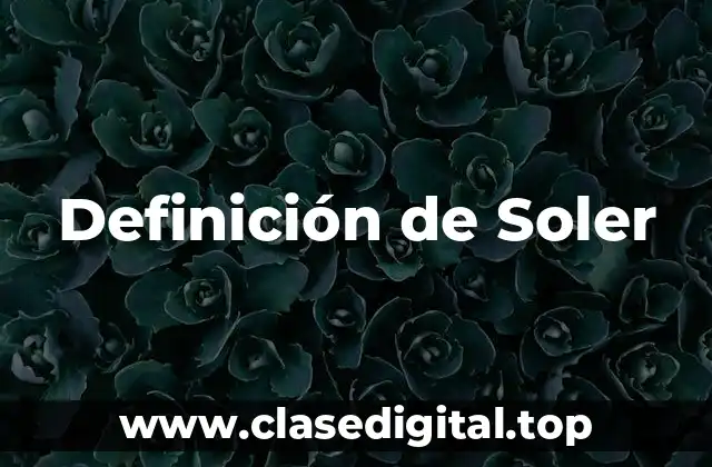 Definición de Soler