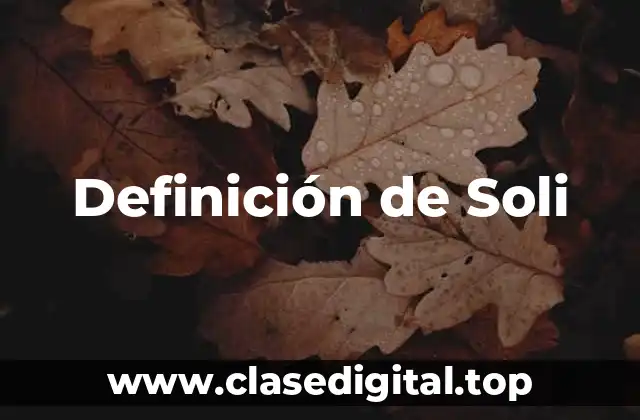 Definición de Soli