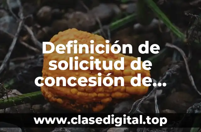 Definición de solicitud de concesión de explotación o asignación minera