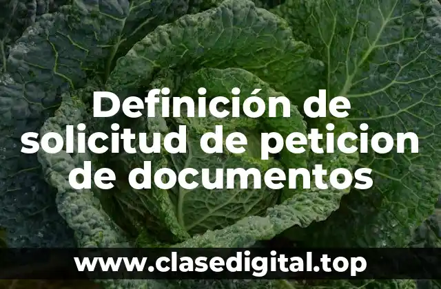 Definición de solicitud de peticion de documentos