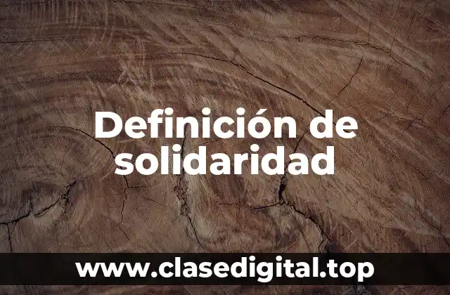 Definición técnica de solidaridad