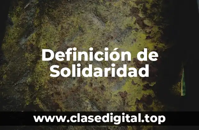 Definición técnica de Solidaridad