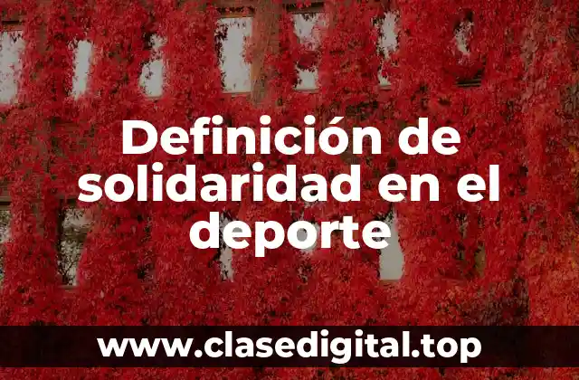 Definición de solidaridad en el deporte