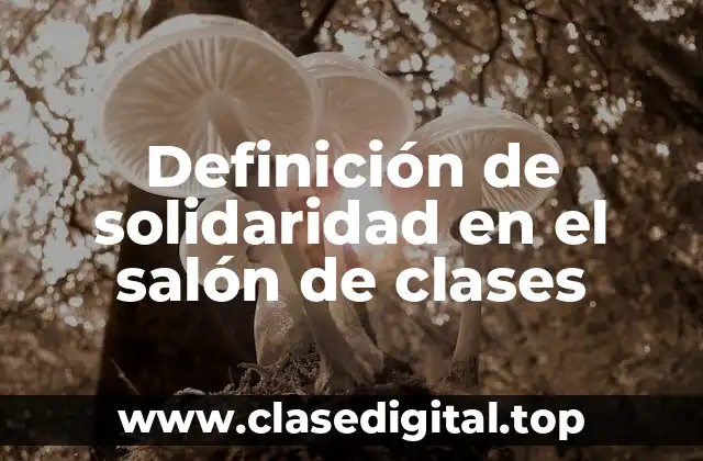 Definición de solidaridad en el salón de clases