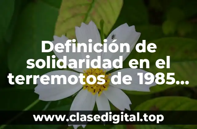 Ejemplos de solidaridad en el terremoto de 1985 en México