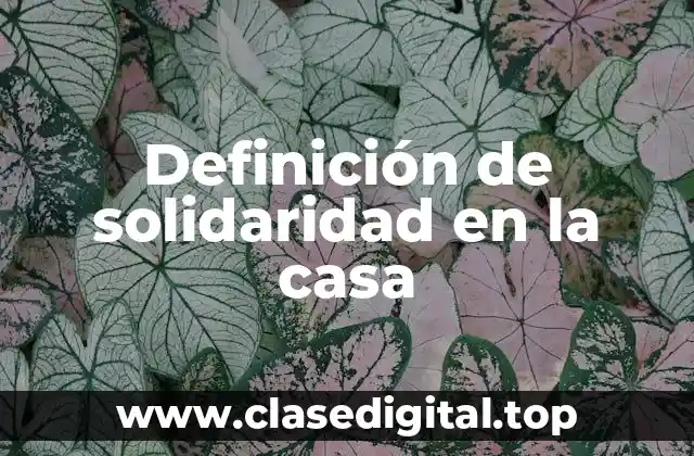 Definición de solidaridad en la casa