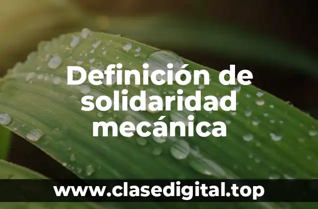 Definición de solidaridad mecánica