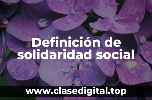 Definición técnica de solidaridad social