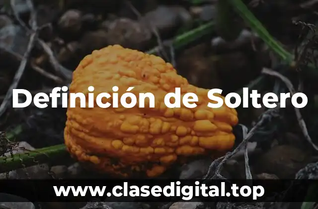 Definición de Soltero