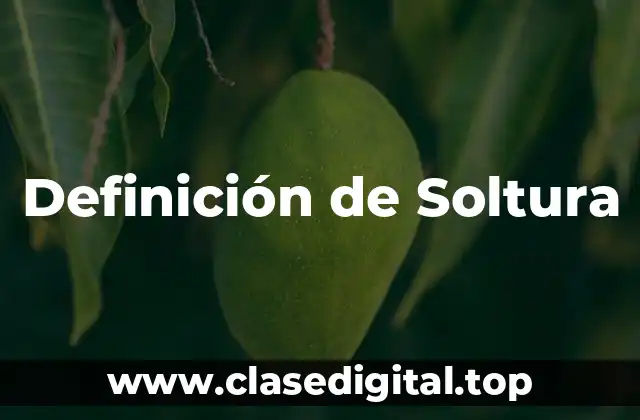 Definición de Soltura