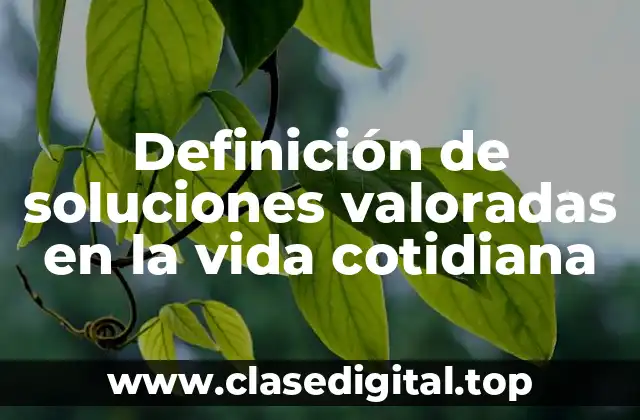 Definición de soluciones valoradas en la vida cotidiana