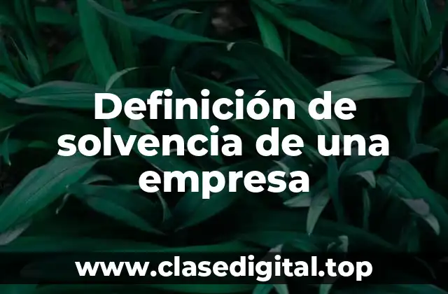 Ejemplos de solvencia de una empresa