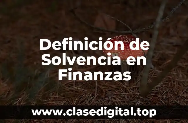 Definición de Solvencia en Finanzas