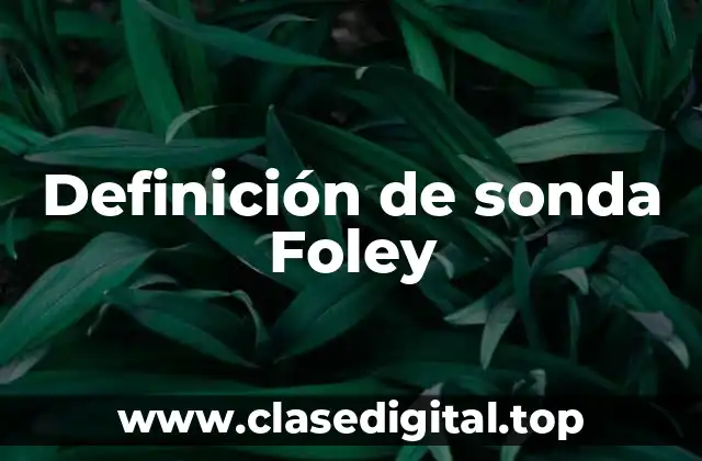 Definición de sonda Foley