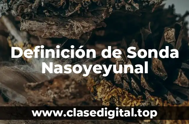 Definición de Sonda Nasoyeyunal