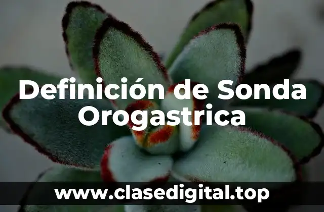 Definición de Sonda Orogastrica