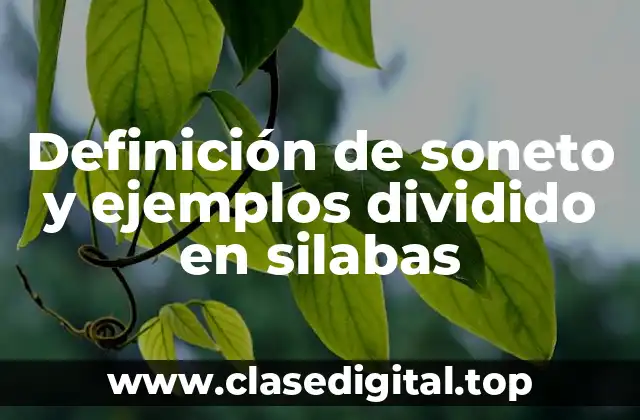 Definición de soneto y ejemplos dividido en silabas