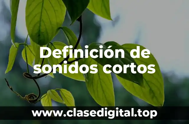 Definición de sonidos cortos