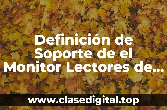 Definición de Soporte de el Monitor Lectores de Memorias Extranjeras