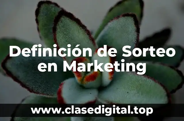 Definición de Sorteo en Marketing