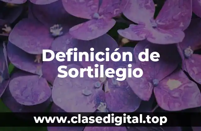 Definición de Sortilegio