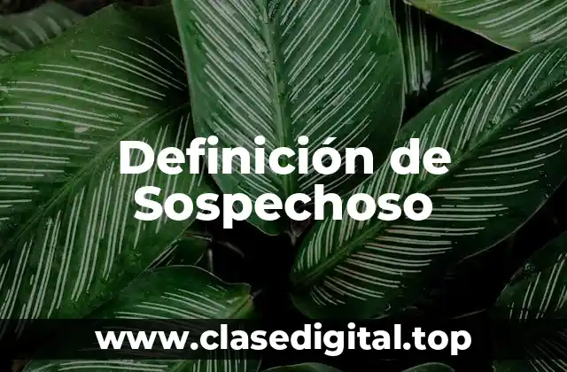Definición de Sospechoso
