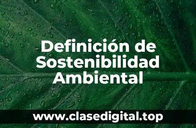 Definición de Sostenibilidad Ambiental