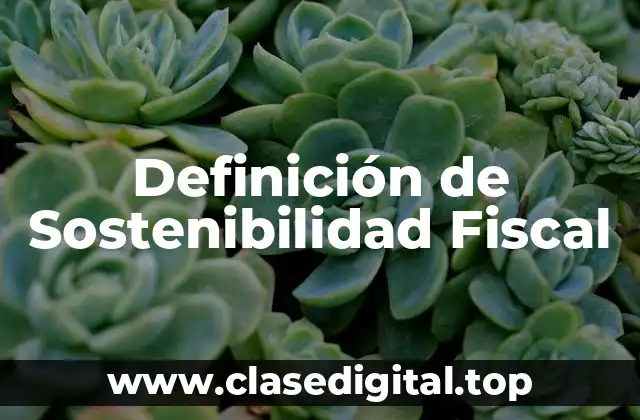 Definición de Sostenibilidad Fiscal