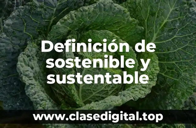 Definición de sostenible y sustentable
