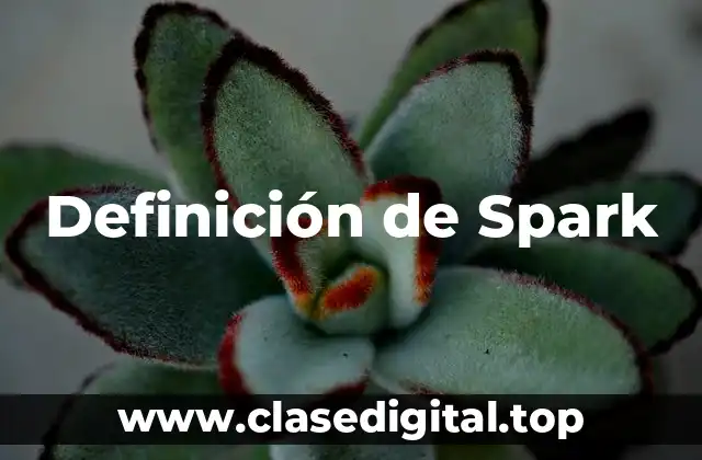Definición de Spark