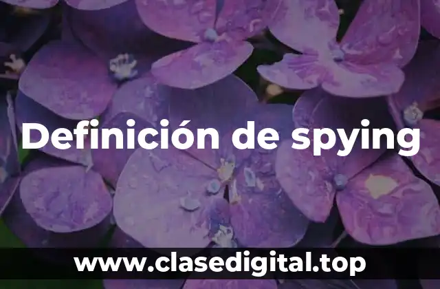 Definición de spying