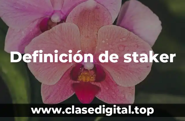 Definición de staker