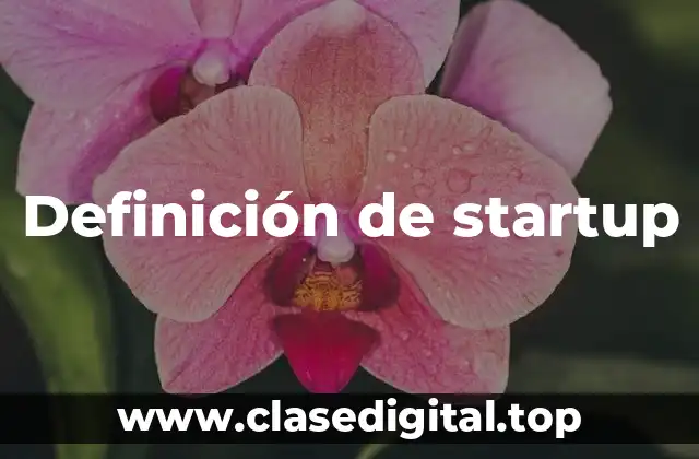 Definición de startup