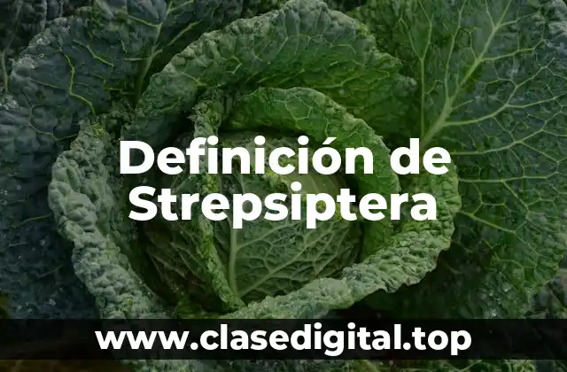 Definición de Strepsiptera