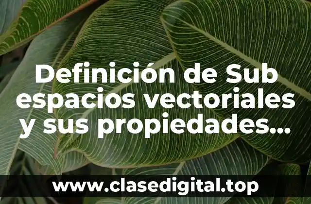 Definición de Sub espacios vectoriales y sus propiedades ejercicios
