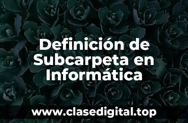 Definición de Subcarpeta en Informática