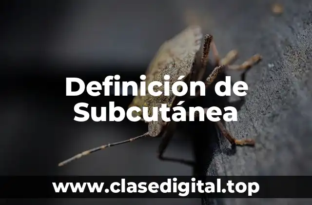 Definición de Subcutánea