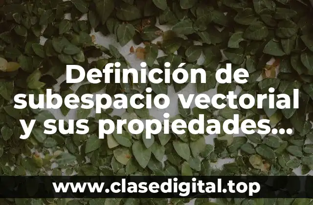 Definición de subespacio vectorial y sus propiedades ejercicios resueltos