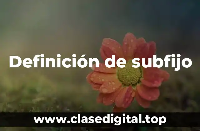 Definición de subfijo