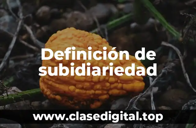 Definición de subidiariedad