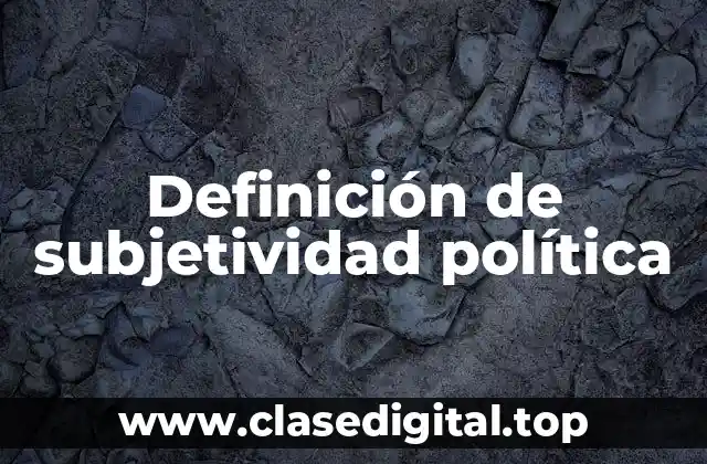 Ejemplos de subjetividad política