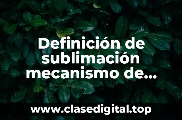 Definición de sublimación mecanismo de defensa