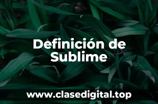 Definición de Sublime