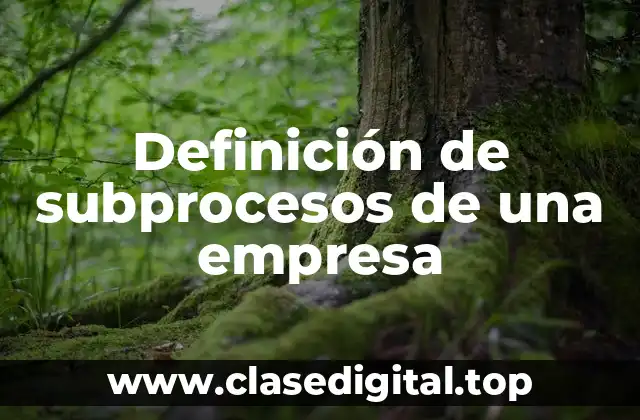 Definición de subprocesos de una empresa