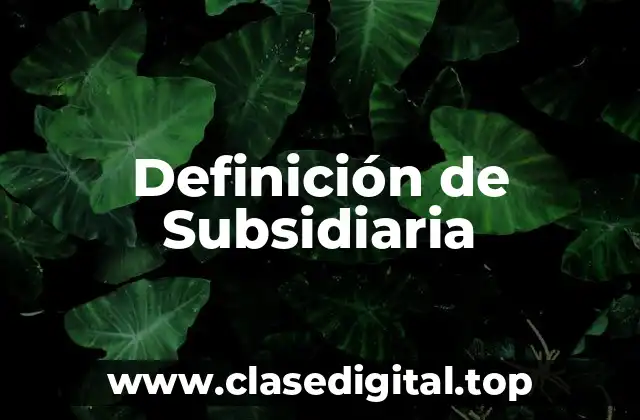 Definición de Subsidiaria