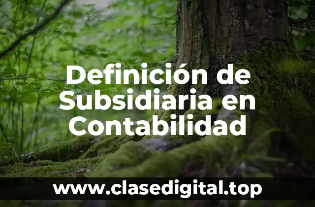Definición de Subsidiaria en Contabilidad